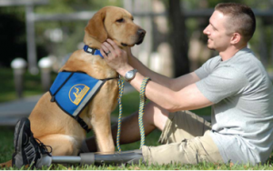 CanineCompanions