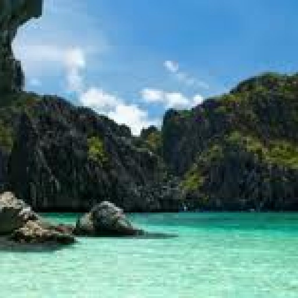 Pet Relocation to the Philippines