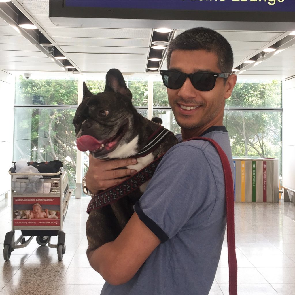 Pet Relocation to Hong Kong