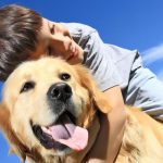From Door to Door: The Convenience of Pet Transportation Services for Your Beloved Pets