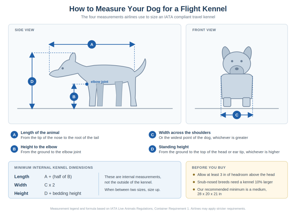 How to measure a dog for an IATA approved flight kennel using the A B C D formula