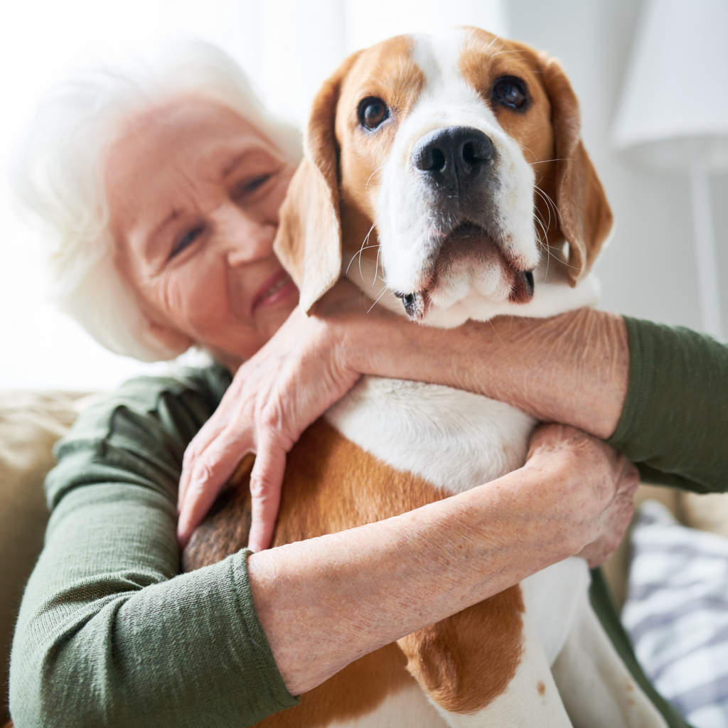 international-pet-travel-services