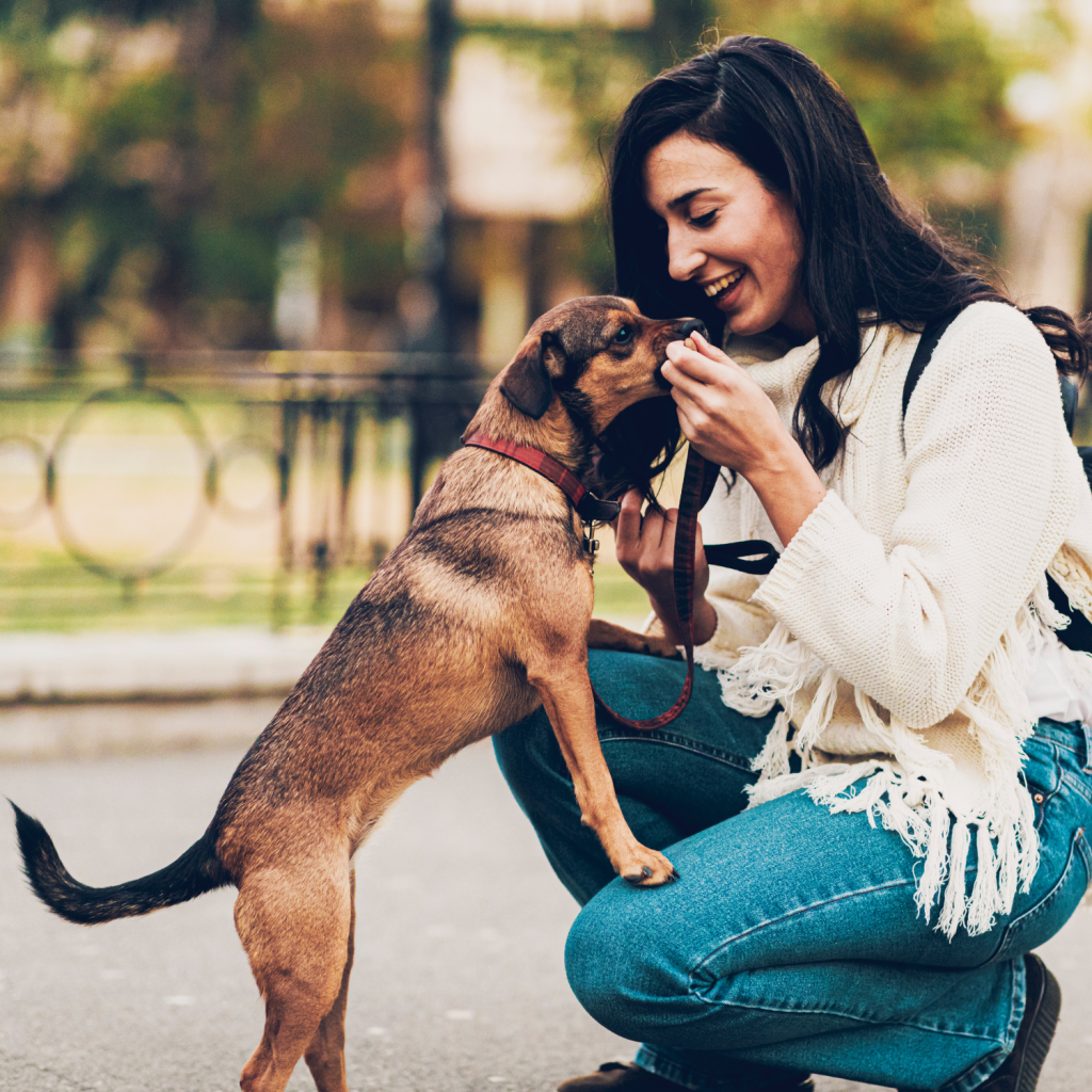 puppy_treat Girl gives her puppy a dog treat