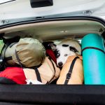 Border collie dog lying on travel bags and equipment inside the car.