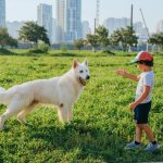 Boy in Dubai playing with a white dog in the grass