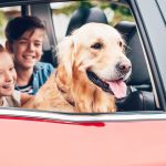 Pet Relocation FAQs