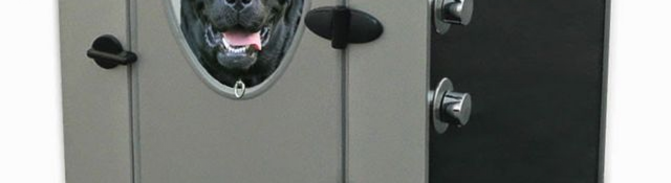 Awesome Dog Product Dog Shower Stall Animal Land Pet Movers