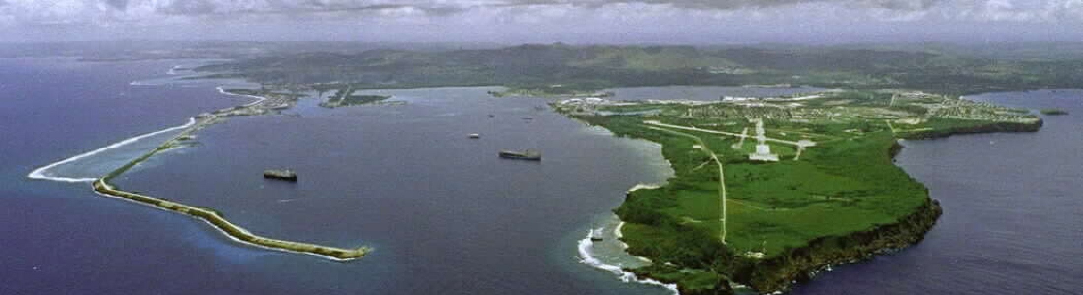 Taking Your Pets to Guam