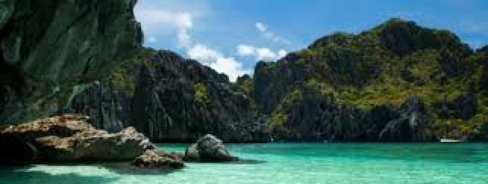 Pet Relocation to the Philippines