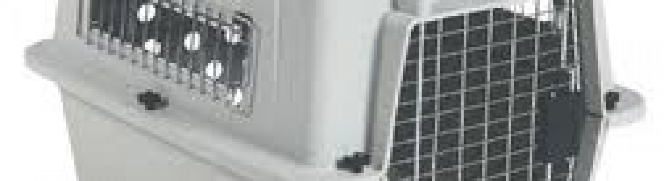 How to Measure Your Pet