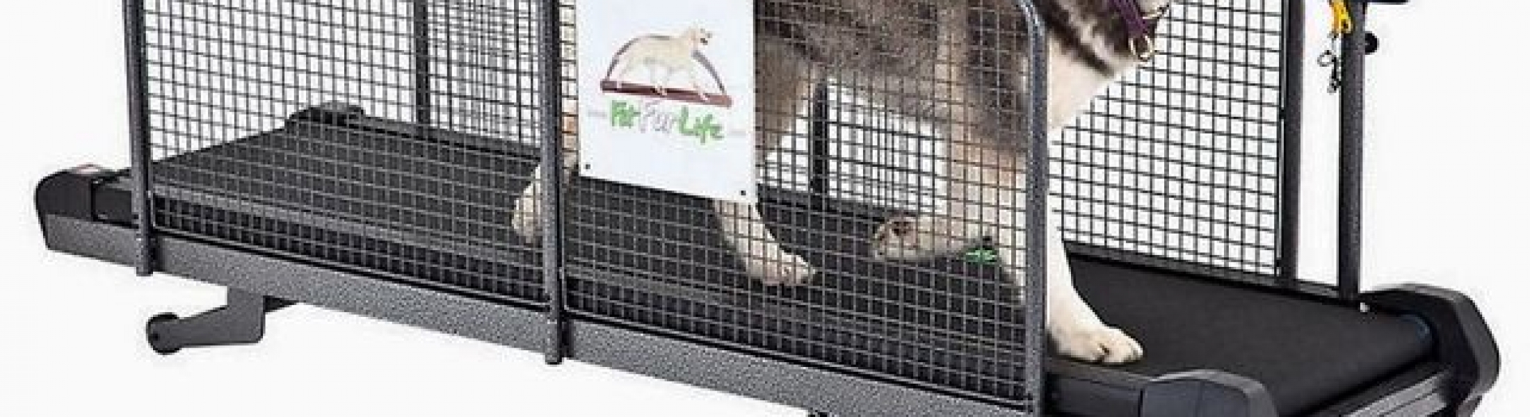 Awesome Dog Product Professional Treadmill Animal Land Pet Movers