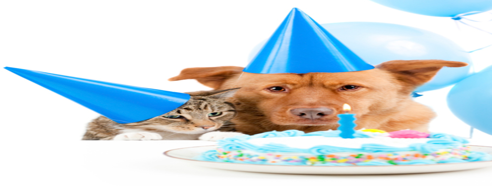 Calculating Dog and Cat Years