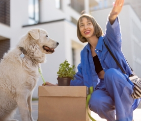 Essential Considerations Before Hiring Pet Moving Services