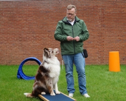 International Pet Transportation: How to Ensure Your Pet’s Comfort and Safety