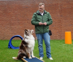 International Pet Transportation: How to Ensure Your Pet’s Comfort and Safety